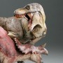 Dinosauria: Tyrannosaurus Rex Vs. Triceratops (Sideshow)