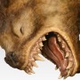 Gothmog On Warg (studio)