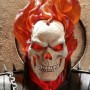 Ghost Rider On Throne (studio)