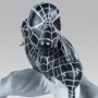 Spider-Man Negative Zone (studio)