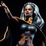Storm (studio)