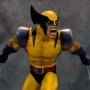 Wolverine 1 (realita)