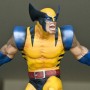 Wolverine 1 (realita)