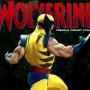 Wolverine 2 (studio)