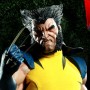 Wolverine 2 (Sideshow) (studio)