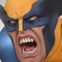 Wolverine 1 (studio)