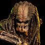 Elder Predator (studio)