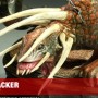 Tracker Predator (Sideshow) (studio)