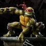 Teenage Mutant Ninja Turtles: Raphael