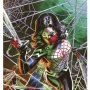 Marvel: Silk #5 Art Print (Felipe Massafera)