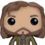 Harry Potter: Sirius Black Pop! Vinyl