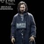 Harry Potter: Sirius Black Prisoner