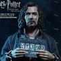 Sirius Black Prisoner