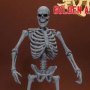 Skeleton 2-PACK