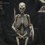 Skeleton Army (Ray Harryhausen's 100th Anni)