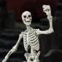 Skeleton Blank Bleached Remnants