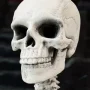 Skeleton Blank Bleached Remnants