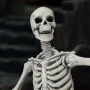 Skeleton Blank Bleached Remnants