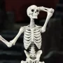 Skeleton Blank Bleached Remnants