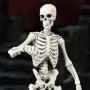 Skeleton Blank Bleached Remnants