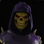 Skeletor (Pop Culture Shock) (studio)