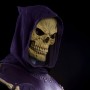 Skeletor (Pop Culture Shock) (studio)