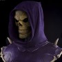 Skeletor (Pop Culture Shock) (studio)