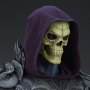 Skeletor Legends