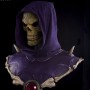 Masters Of The Universe: Skeletor