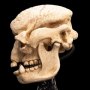Skull Of Cave Troll Mini