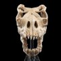 Skull Of Fell Beast Mini