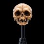 Skull Of Gollum Mini