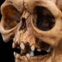 Skull Of Gollum Mini
