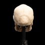 Skull Of Mordor Orc