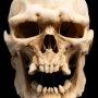 Skull Of Mordor Orc