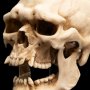 Skull Of Mordor Orc