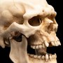 Skull Of Mordor Orc