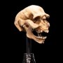 Skull Of Moria Orc Mini