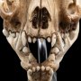 Skull Of Warg