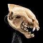 Skull Of Warg