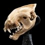 Skull Of Warg