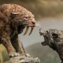Smilodon Wonders Of Wild Series