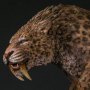 Smilodon Fatalis Wet Rainforest