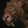 Smilodon Fatalis Wet Rainforest