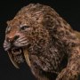 Smilodon Fatalis Wet Rainforest