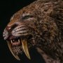 Smilodon Fatalis Wet Rainforest