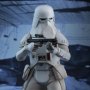 Snowtrooper