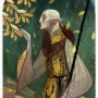 Solas The Hierophat Tarot