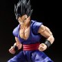 Son Gohan Beast Super Hero