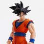 Son Goku Imagination Works